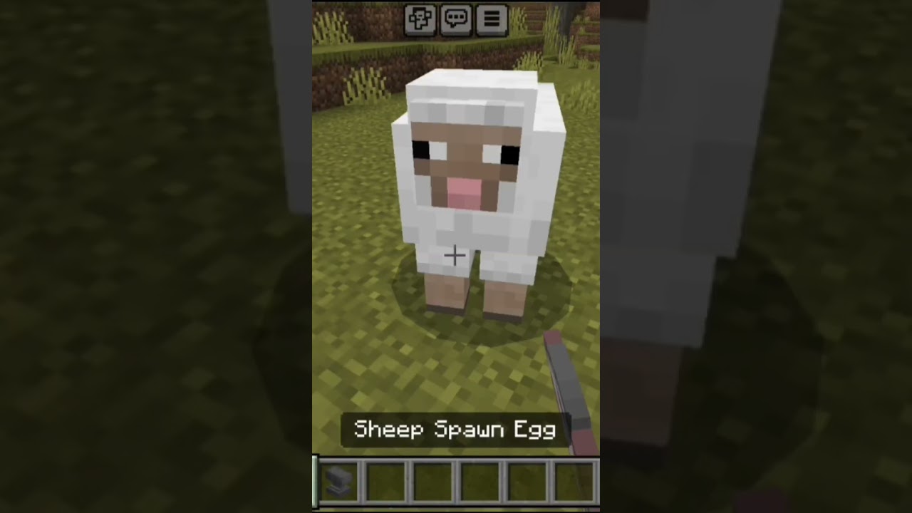 minecraft rainbow sheep 