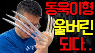 동욱이형이 울버린이 되면 생기는 일..