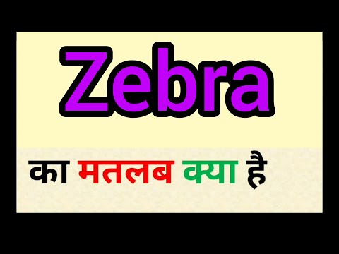 Zebra meaning in hindi || zebra ka matlab kya hota hai || word meaning english to hindi