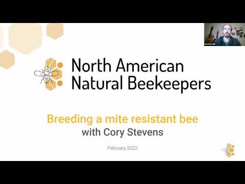 Cory Stevens: Breeding a Mite Resistant Bee