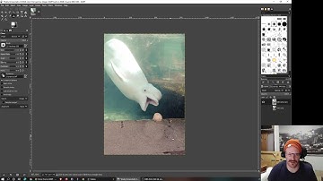 Clone Tool (Gimp) v4