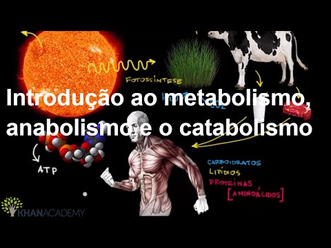 Introdução ao metabolismo, anabolismo e o catabolismo | Energia e enzimas | Biologia | Khan Academy