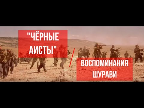 Кто такие Чёрные аисты на Афганской войне. Воспоминания командира разведвзвода 66 бригады