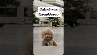 นั่นน่ะสิ..!? 😅😒😑#หัวหน้า #ลูกน้อง #ประชุม #คุยงาน #ที่ทำงาน #บริษัท #เลิกงานแล้ว #งง #ว่าง