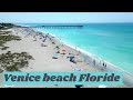 Dcouvrir venice beach sur la cte ouest de la floride une belle alternative 4k