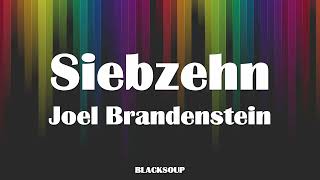 Joel Brandenstein - Siebzehn Lyrics