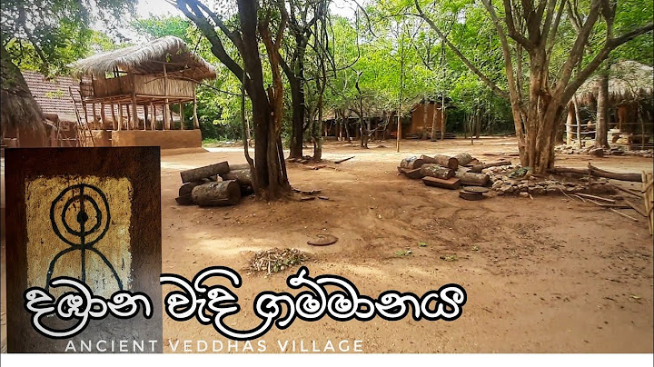 Veddhas Village | දඹාන වැදි ගම්මානය | Sri Lanka Cave Men
