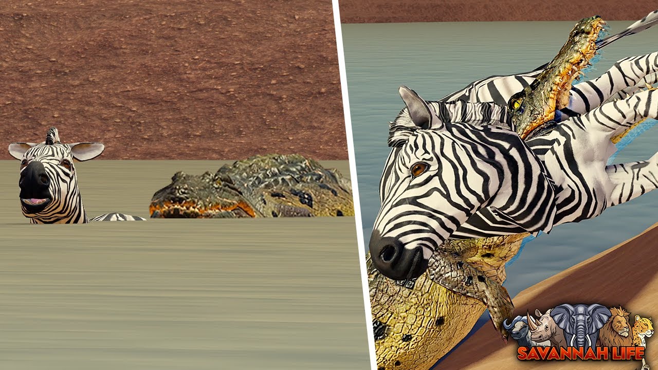 Охота на крокодила РАЗРУШЕНА Злым Бегемотом! | ROBLOX Savannah Life