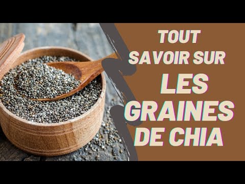 Les graines de Chia (prononcer Kia) sont un trésor dont il serait