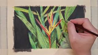 Drawing TimeLapse | 'Birds of Paradise'