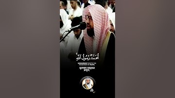 "محمد رسول الله" سورة الفتح SURAH AL-FATH #عبدالولي_الاركاني #abdulwali_alarkani