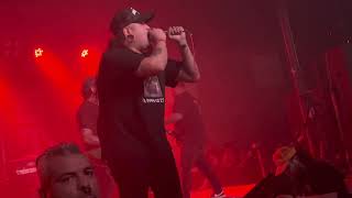 Life Cycles - Into the River