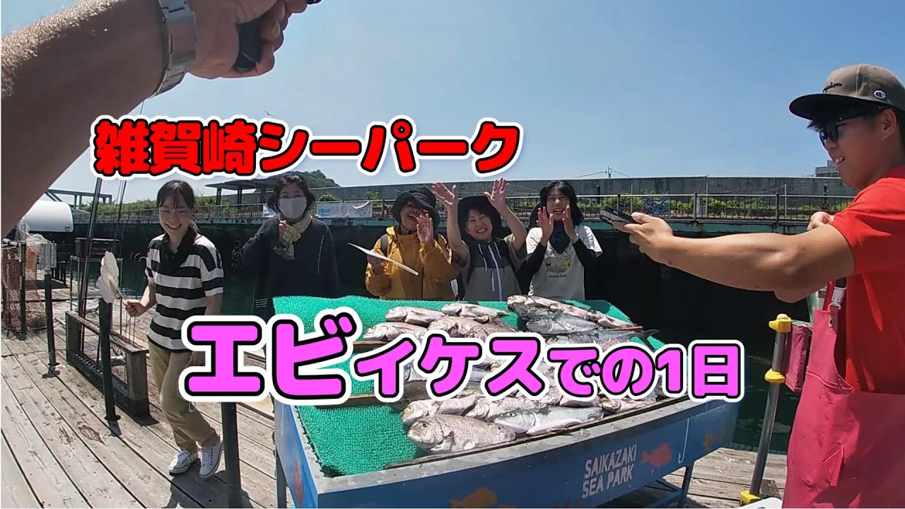 みんなで楽しく海上釣堀　雑賀崎シーパーク　えびイケスの1日