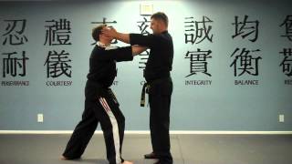 Vision Martial Arts: Self Defense 2 - Lapel Grab