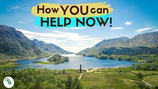 Can Scotland Be The World's First Rewilding Nation?