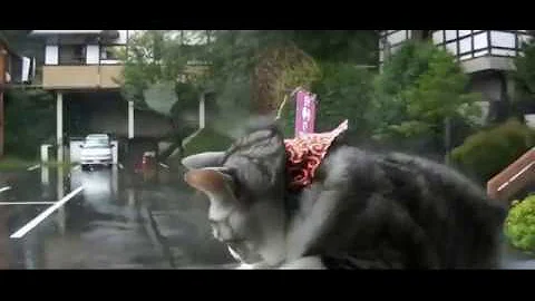 Watch the video about Try Not To Laugh Animals - Funny Cats Videos 2020 - Funniest Clean Vines Compilation