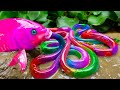 Catching dozens colorful fish rainbow eel cartoon stop motion    jadui kahaniya in hindi