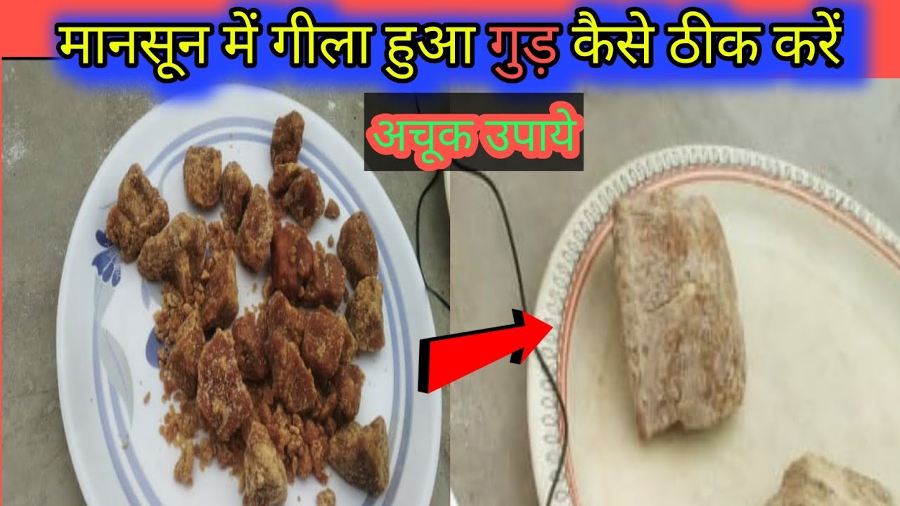 मानसून में गीला हुआ गुड़ कैसे ठीक करें gud gila ho jaye to kya kare