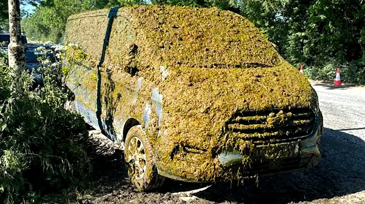 Passive Aggressive Ways People Got Revenge – Part 5