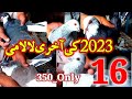 Best befor 2024  sale offer  03146721865  350 only  lkbpigeons