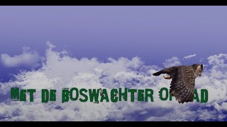 Met De Boswachter Op Pad In Het Zwanenwater Callantsoog.