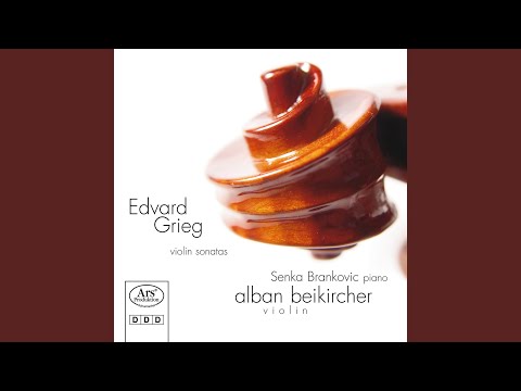 Violin Sonata No. 2 in G Major, Op. 13: III. Allegro animato