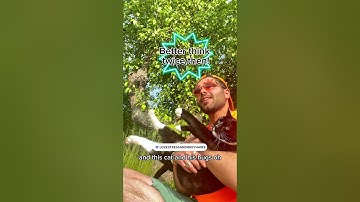 This guy keeps crashing my videos 😻🎶 #cat #tuxedocat #catsinging #originalsong #independentartist