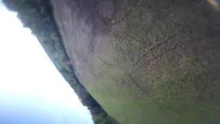 RAW RUN #50 WITH CRSF SHOT