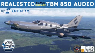 PREVIEW Echo 19 TBM 850 Precision Audio Pack for Black Square TBM 850 - Review flight - MSFS 2024 4K