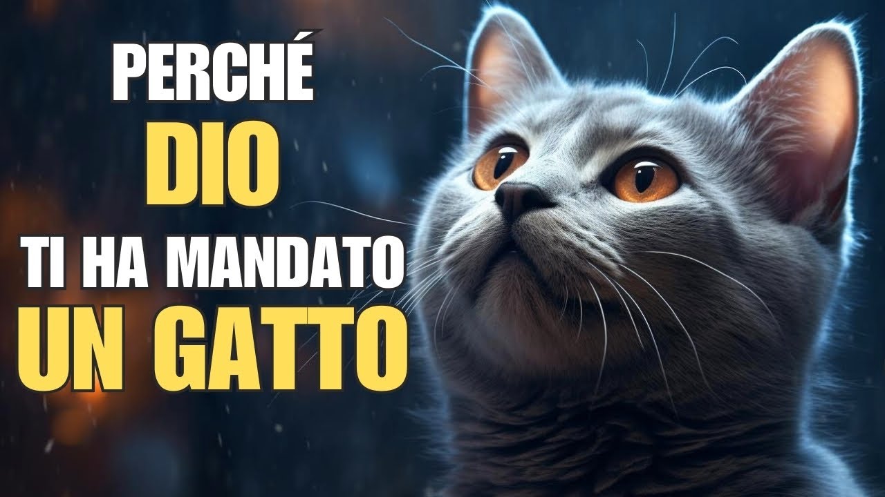 😺 Perché Dio ti ha mandato un gatto | Spiritualità felina