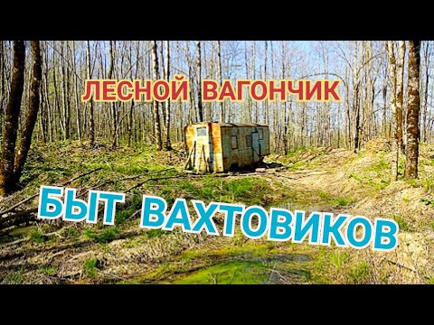 Требуются подсобные рабочие в лес. Вахта в лесу. Вагон-городок вахтовиков. Лесосечные работы вальщик леса. Вахтовый метод.