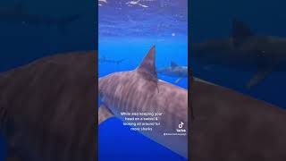 Mermaid Kayleigh's Viral Videos 2022