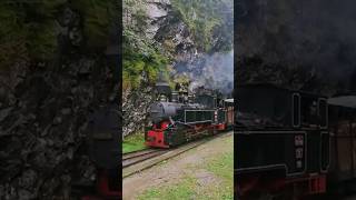 #steamtrain