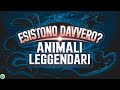 ANIMALI Leggendari: Scoperte e Misteri
