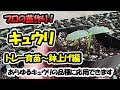 【育苗のプロが教える！】キュウリの苗作り　トレー育苗～鉢上げ編（セルトレー）あらゆるキュウリの品種に応用できます