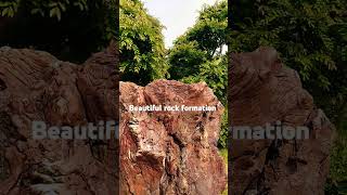 Beautiful Bug Rock Formation #hongkong #rock #formation