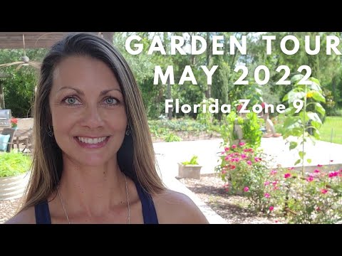Video: Berkebun Sayuran Untuk Zon 9 - Menanam Kebun Sayur Zon 9