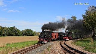 Die Döllnitzbahn dampft wieder bis Kemmlitz Bahnhof  Wilder Robert