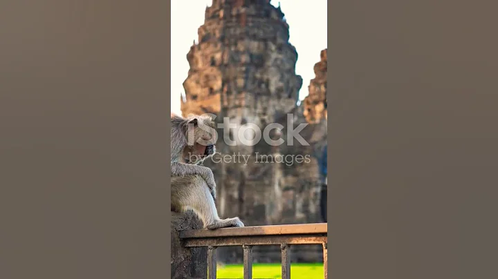 Do u know that? #thailand #travelvlog #travel #douknow #fyp #thai #country #thailandtravel #viral