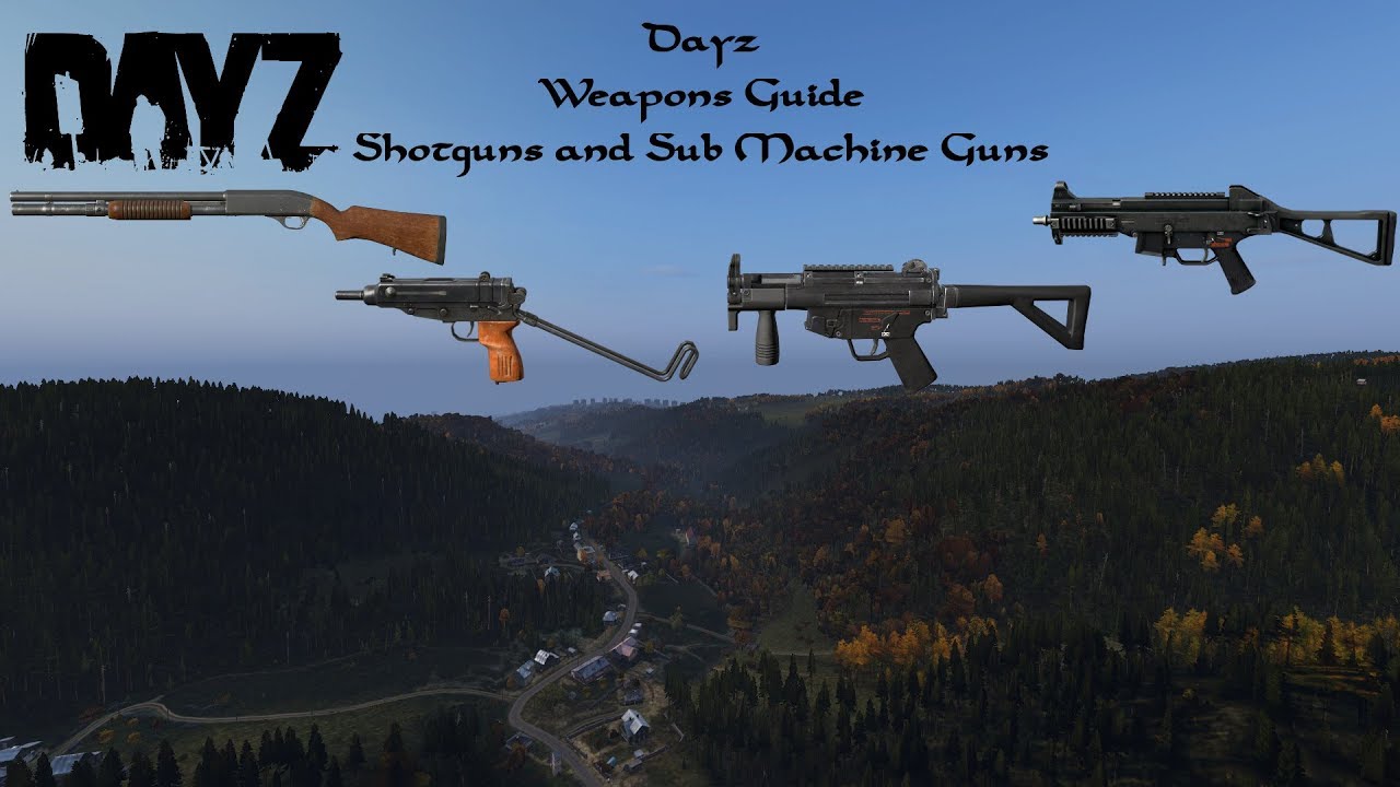 Dayz gun