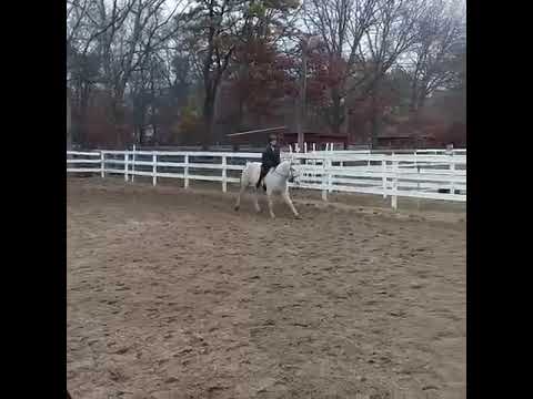 Girl Gets Bucked Off By Her Horse 1345755