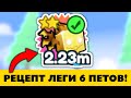 ЛЕГКИЙ Рецепт Легендарной Агонии из 6 ти петов в Пет Симулятор Х – Roblox Pet Simulator X