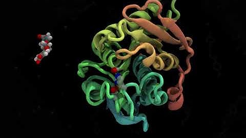 Simulation of PET degrading enzyme