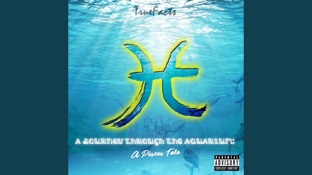 motions-please-don-t-youtube-music