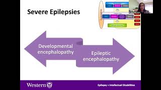 Epilepsy: More than a comorbidity for patients with intellectual disability