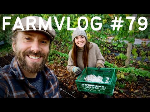 PLANTING GARLIC - NO DIG BOKASHI - COLD CLIMATE FOOD FOREST PERMACULTURE FARM & CSA MARKET GARDEN