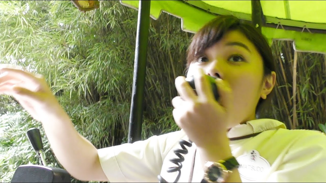 (TwT)v  最前席…近っ！マツドウ船長 笑える！/ジャングルクルーズ(虎神/編) 2017.8.20