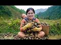 Single Mother's Hard Rural Life - Harvesting Rock Snails to Raise Child and Run Farm Alone