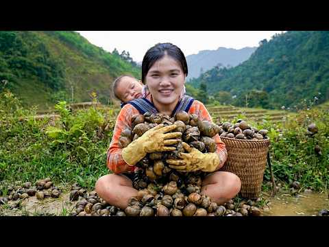Single Mother's Hard Rural Life - Harvesting Rock Snails to Raise Child and Run Farm Alone
