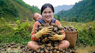 Single Mother's Hard Rural Life - Harvesting Rock Snails to Raise Child and Run Farm Alone